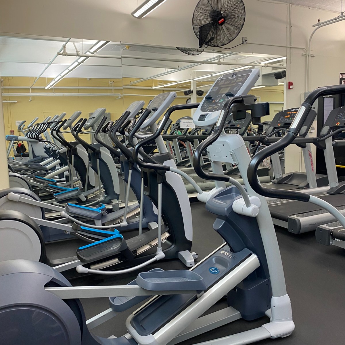 Internship Day 3: Tiny But&nbsp;Mighty