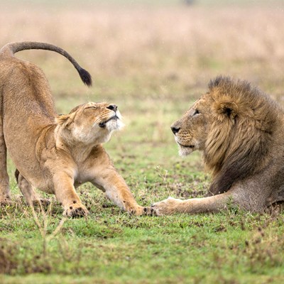 Self-Care Challenge- Day 2:&nbsp;Stretch