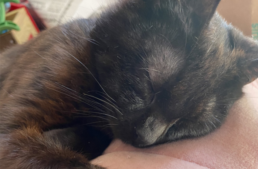 Rest- Day 1 of the Self-Care&nbsp;Challenge