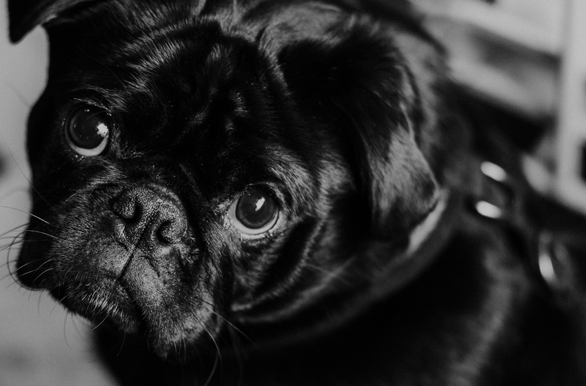 Self-care Challenge- Day 13:&nbsp;Forgiveness