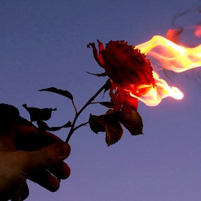 Self-care Challenge- Day 17:&nbsp;Catharsis