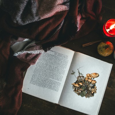 Self-care Challenge- Day 22:&nbsp;Warmth