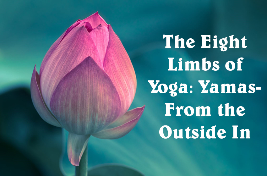 Eight Limbs of Yoga: Yamas- From the Outside&nbsp;In